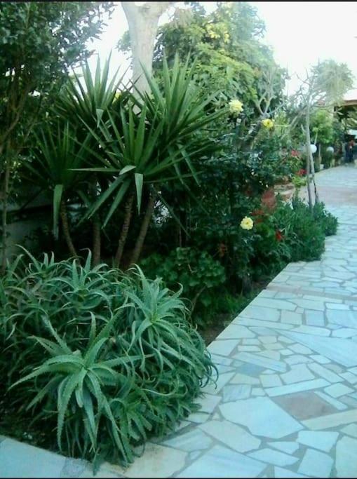 Hersonissos Venus 2 Bedroom House Екстер'єр фото
